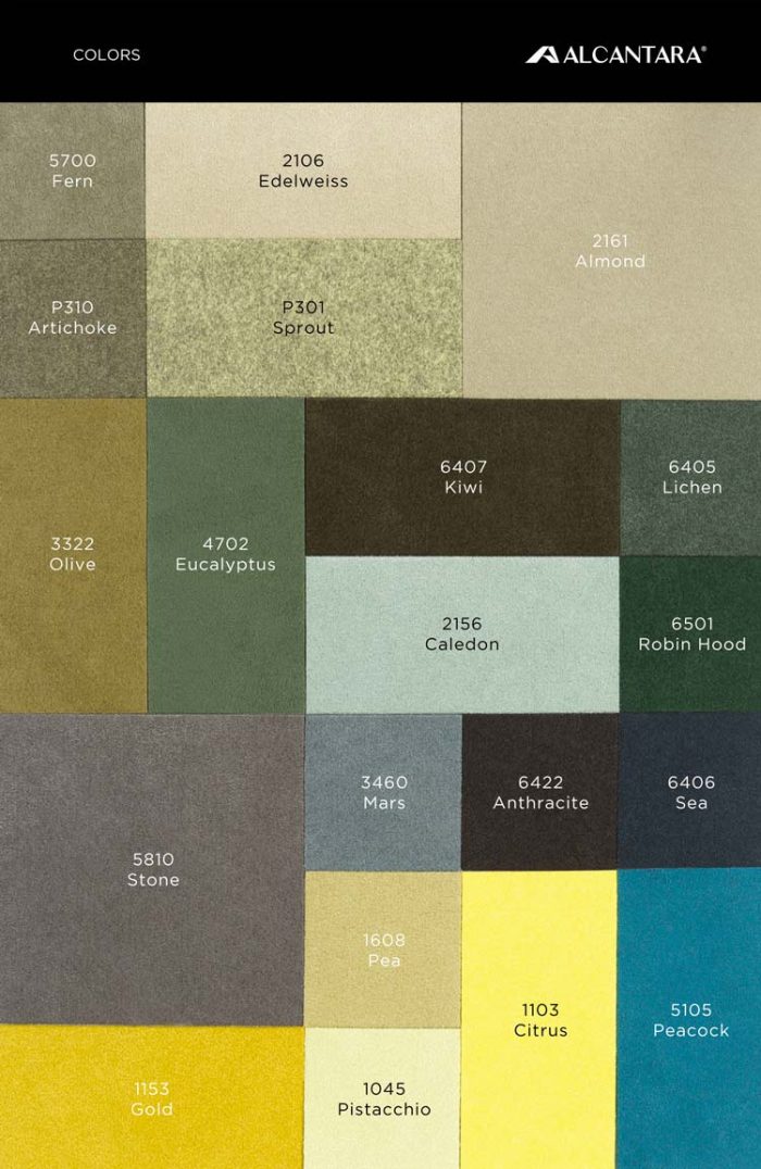 ALCANTARA - immagine 3
