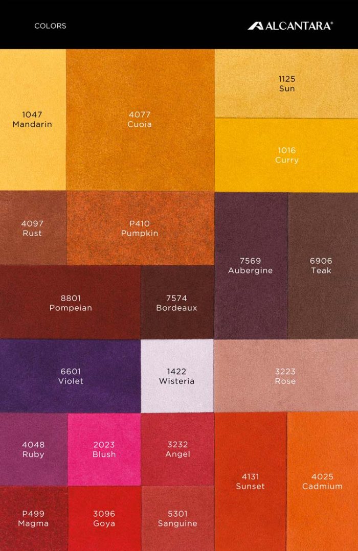 ALCANTARA - immagine 5